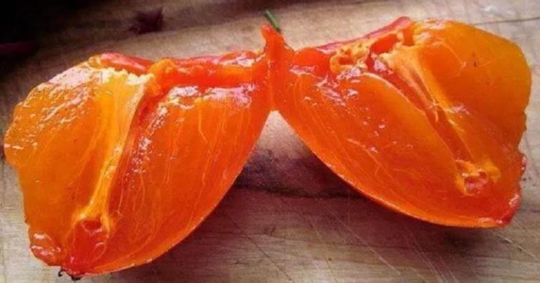 Вот почему хурму скупают тоннами! На это есть 10 ошеломляющих причин. Кто узнает, не останется равнодушным…