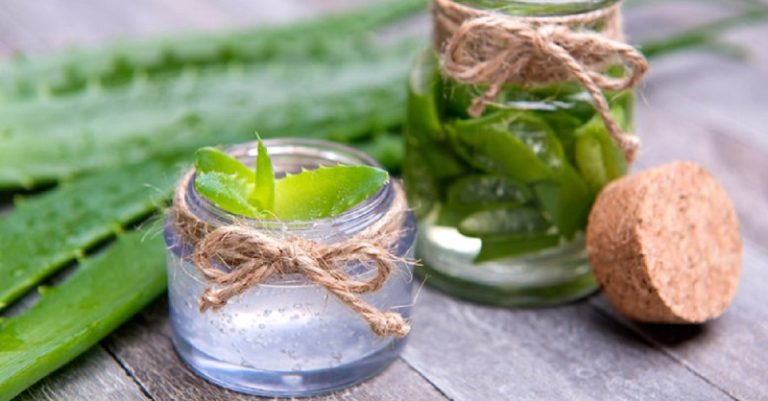 Это настоящая панацея для кожи лица! Алоэ справится с любыми дерматологическими проблемами