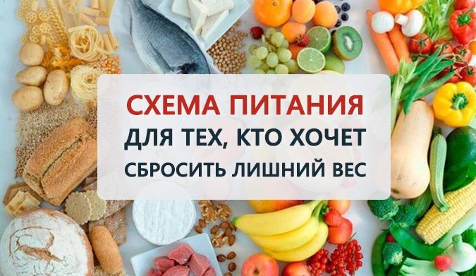 Схема питания для тех, кто хочет сбросить вес