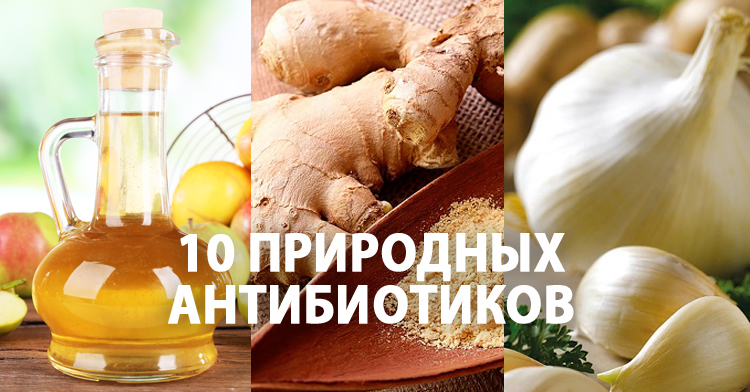 10 природных антибиотиков: факты, которые тщательно скрывают фармацевтические компании