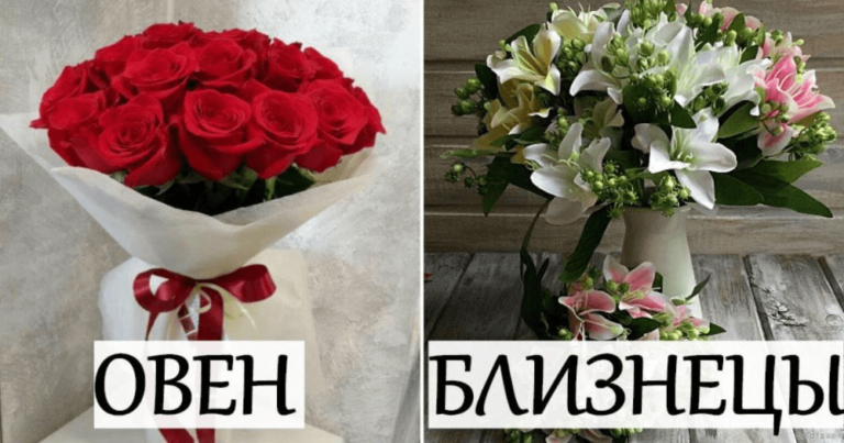 Какие цветы подходят каждому знаку Зодиака