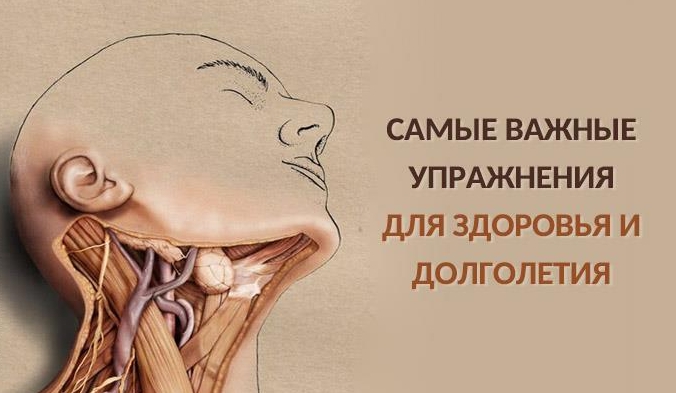Самые важные упражнения для здоровья и долголетия