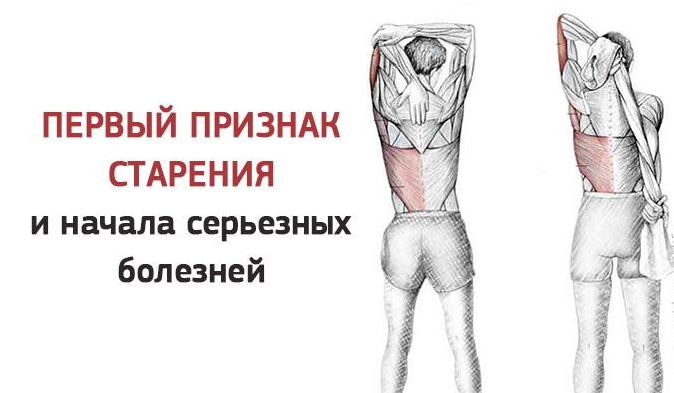 Индикатор молодости: Первый признак старения организма и начала болезней
