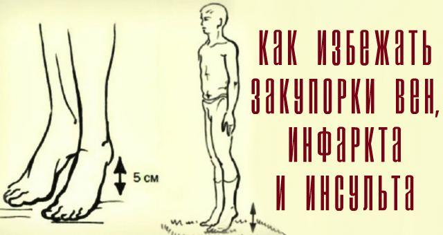 Секрет активного долголетия — виброгимнастика академика Микулина