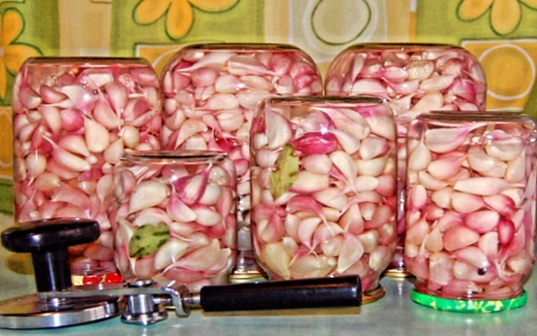 Маринованный чеснок: не только изысканно вкусная консервация, но и полезная для здоровья