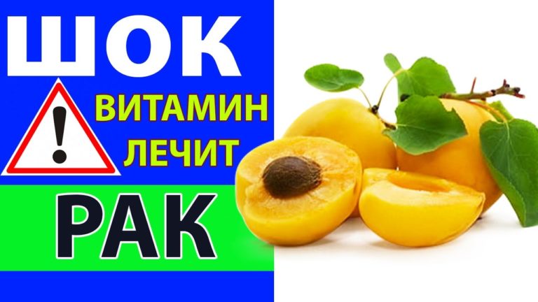 Витамин, который убивает рак! Наши предки знали об этом! Почему не знаем МЫ?