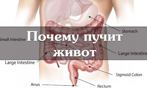 Вот почему у тебя большой живот! Избавься от вздутия за ночь и похудей