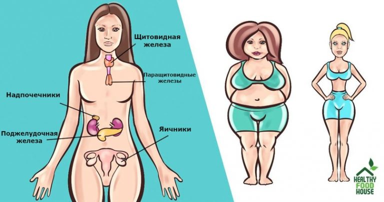 6 важных гормонов, которые мешают вам похудеть. Вот что делать с каждым из них