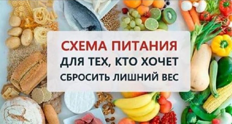 Правильная схема питания для тех, кто действительно хочет сбросить вес